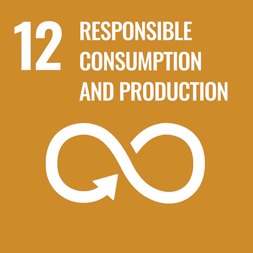 Consumo e produção responsáveis