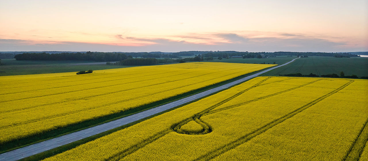 Renewable fuels for truck and buses