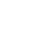 Poročilo za upravljanje