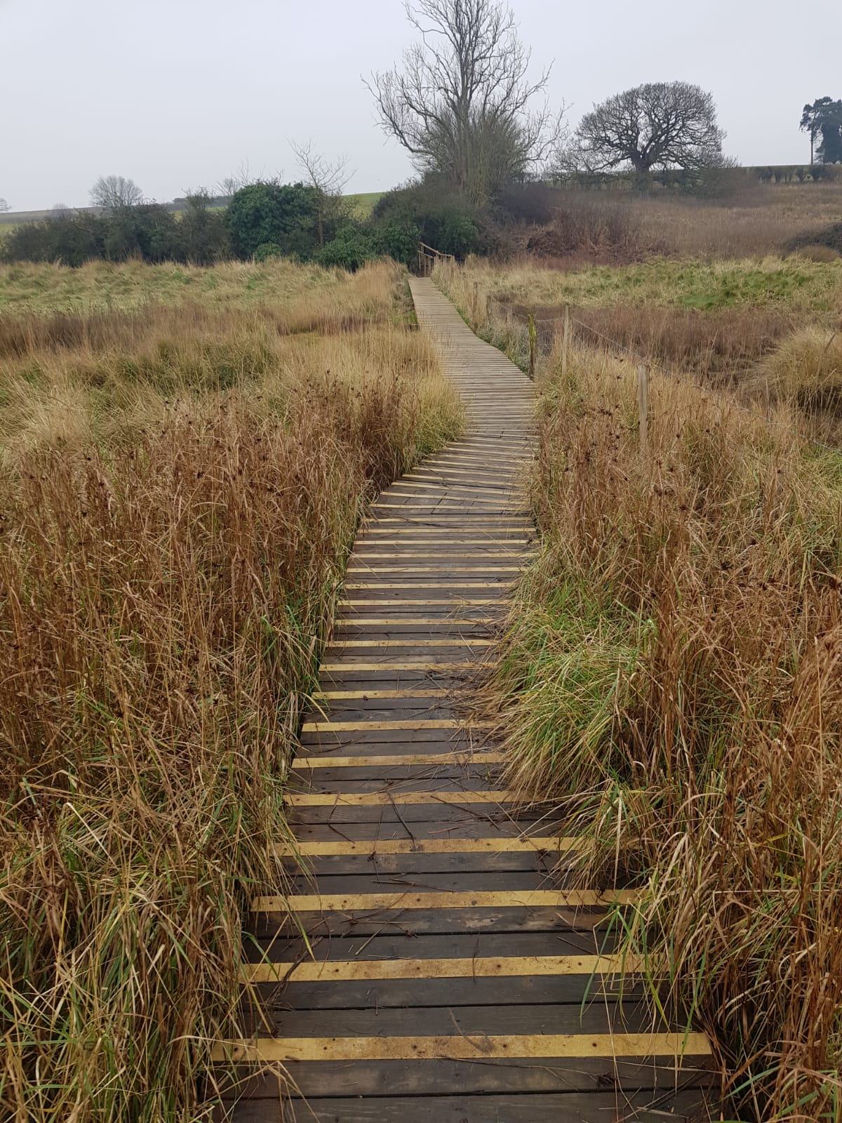 Photo of steps going down hill in a field
